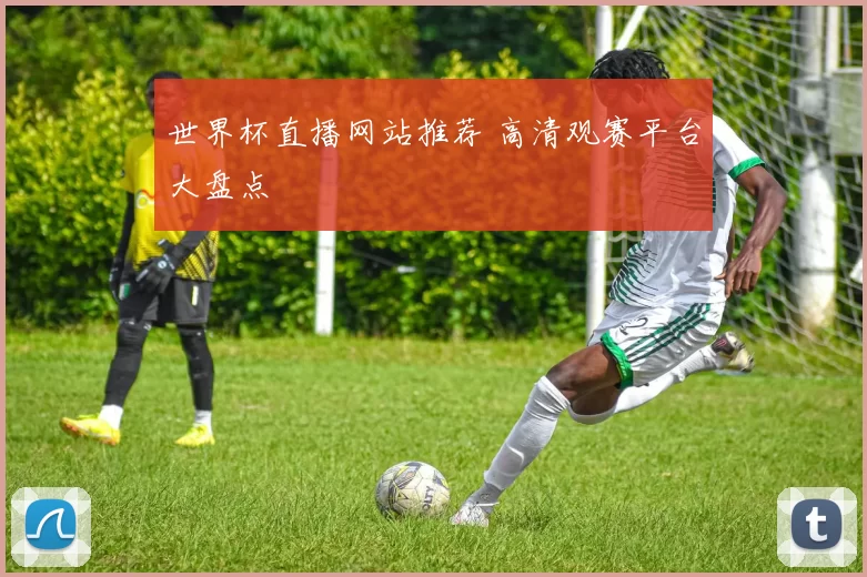 世界杯直播网站推荐 高清观赛平台大盘点