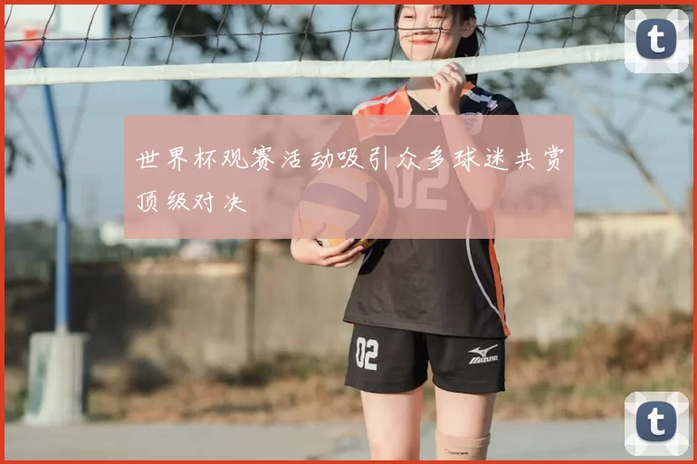 世界杯观赛活动吸引众多球迷共赏顶级对决