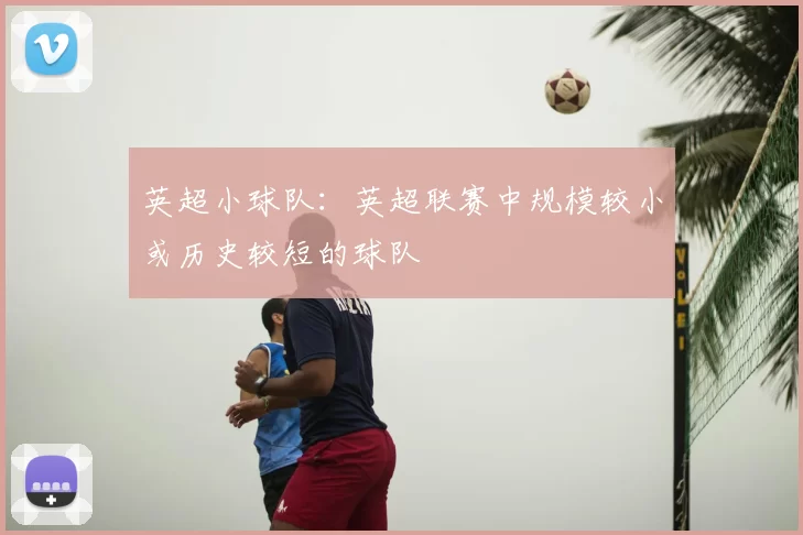 英超小球队:英超联赛中规模较小或历史较短的球队