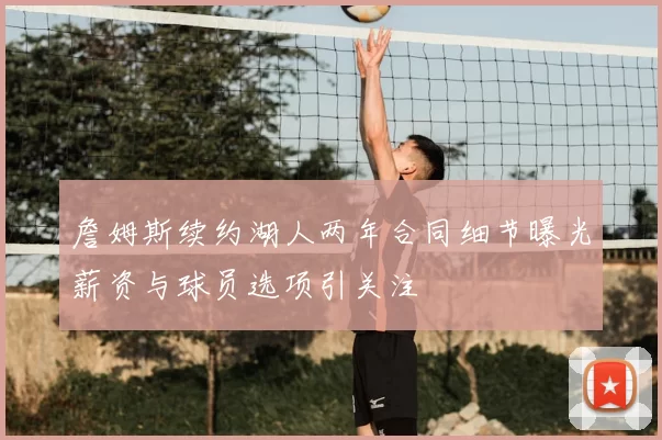 詹姆斯续约湖人两年合同细节曝光薪资与球员选项引关注