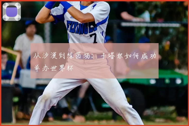 从沙漠到绿茵场:卡塔尔如何成功举办世界杯
