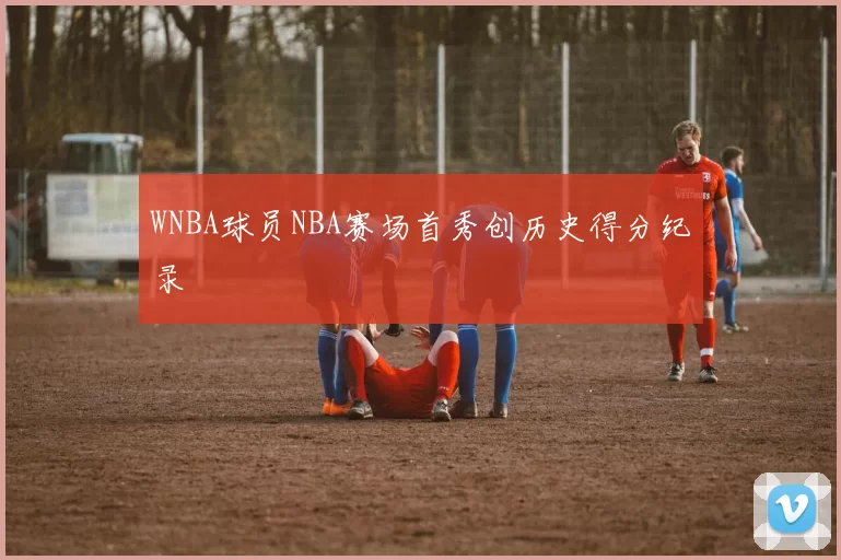WNBA球员NBA赛场首秀创历史得分纪录