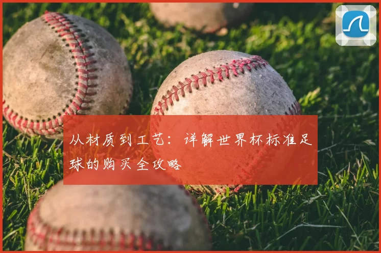 从材质到工艺：详解世界杯标准足球的购买全攻略