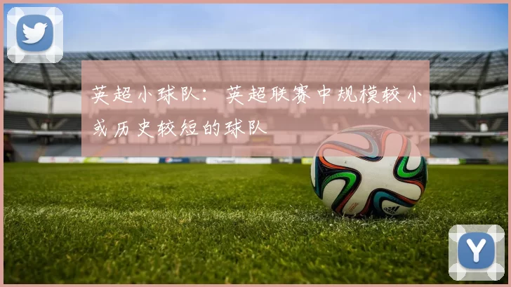 英超小球队:英超联赛中规模较小或历史较短的球队