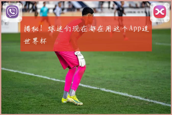 揭秘！球迷们现在都在用这个App追世界杯