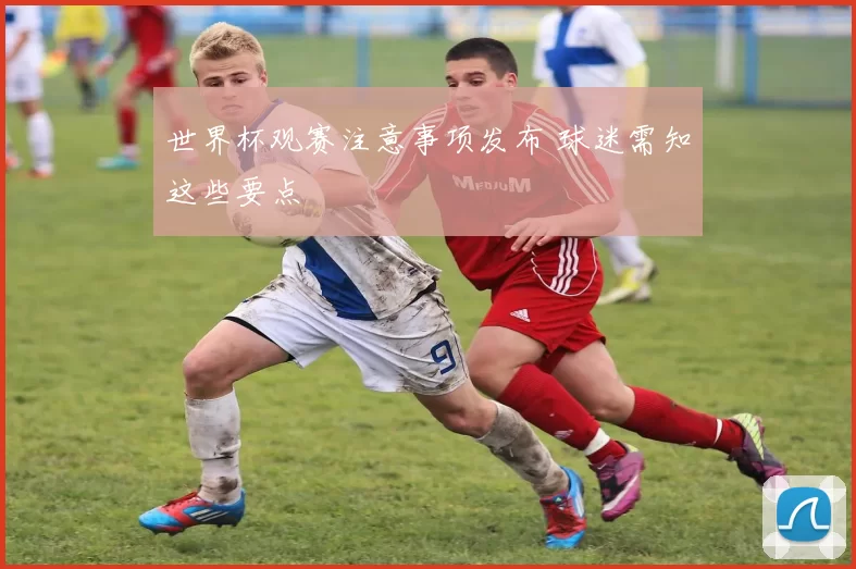 世界杯观赛注意事项发布 球迷需知这些要点