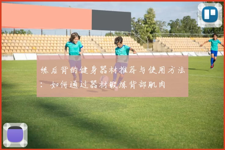 练后背的健身器材推荐与使用方法:如何通过器材锻炼背部肌肉