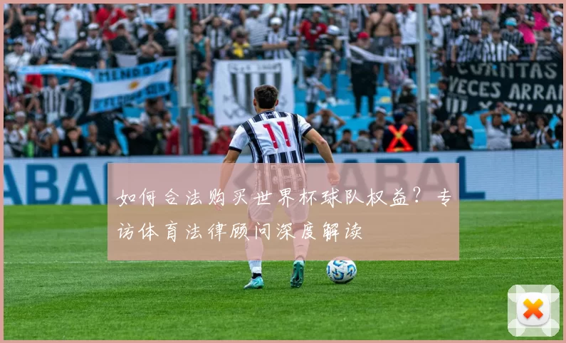 如何合法购买世界杯球队权益?专访体育法律顾问深度解读
